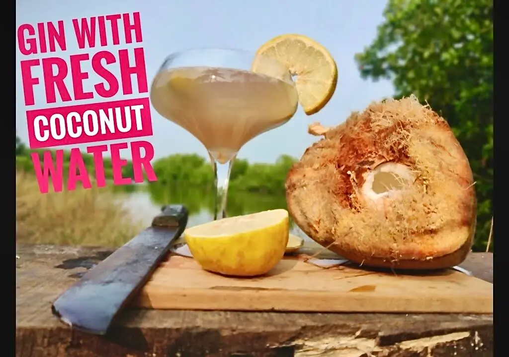 cocktail with gin and fresh coconut water